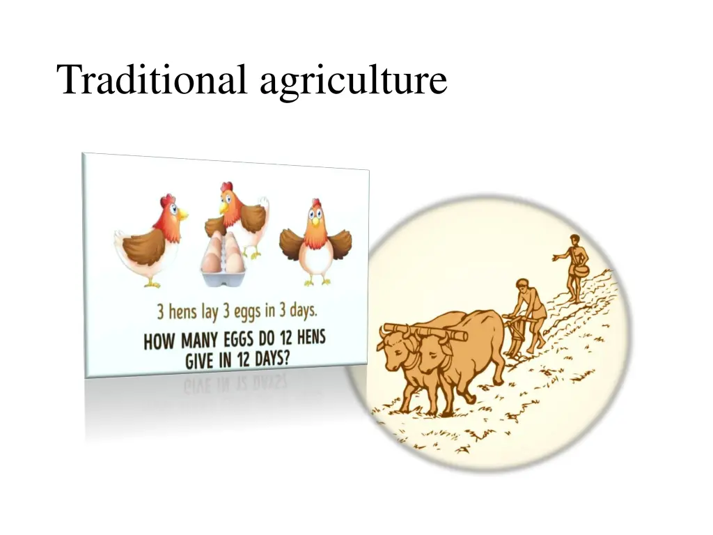 traditional agriculture