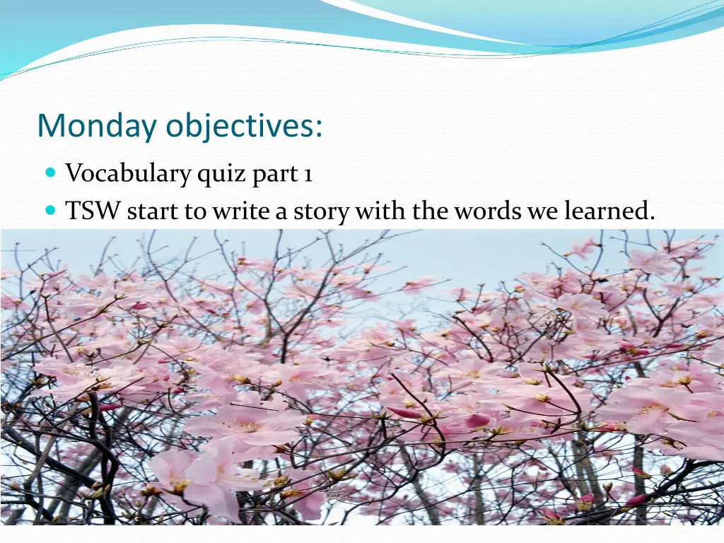 monday objectives