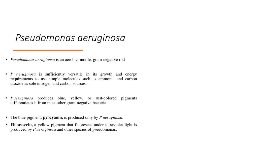 pseudomonas aeruginosa