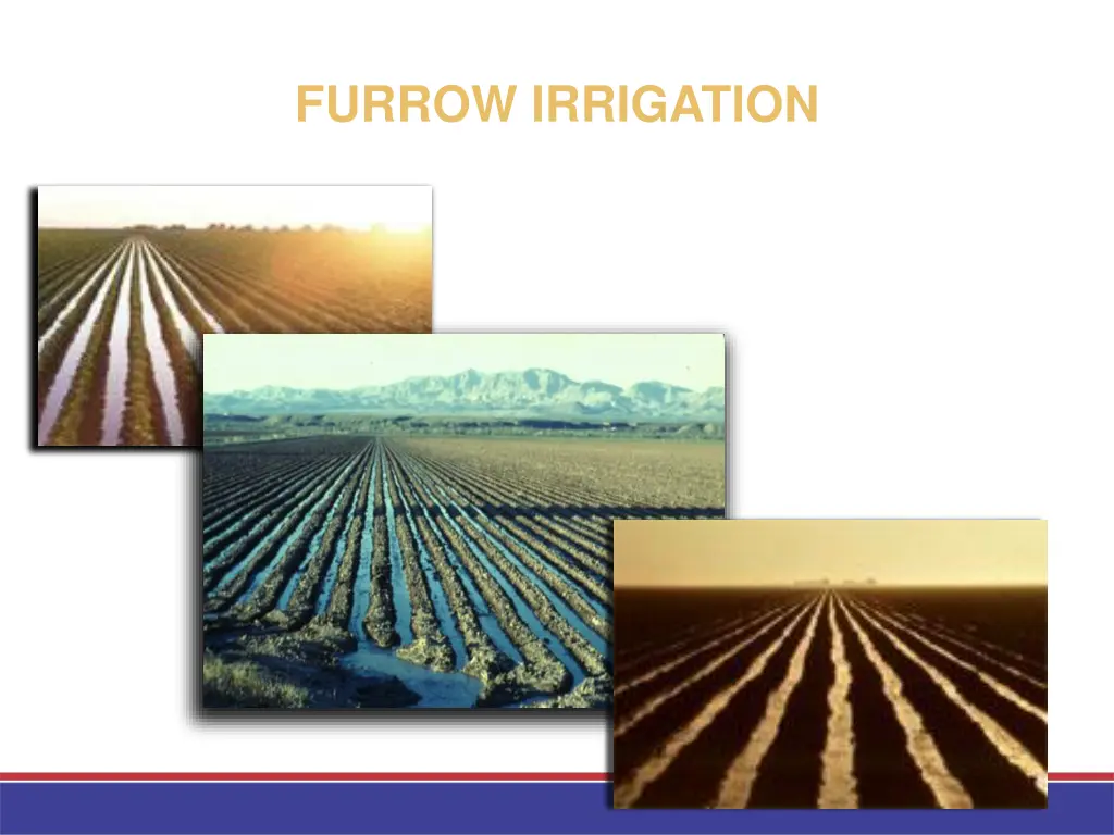 furrow irrigation
