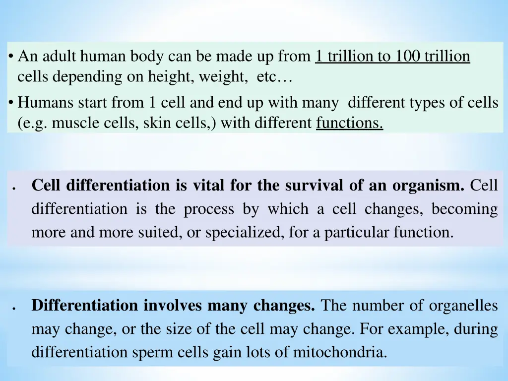 an adult human body can be made up from