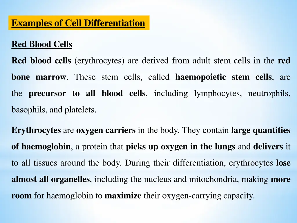 examples of cell differentiation
