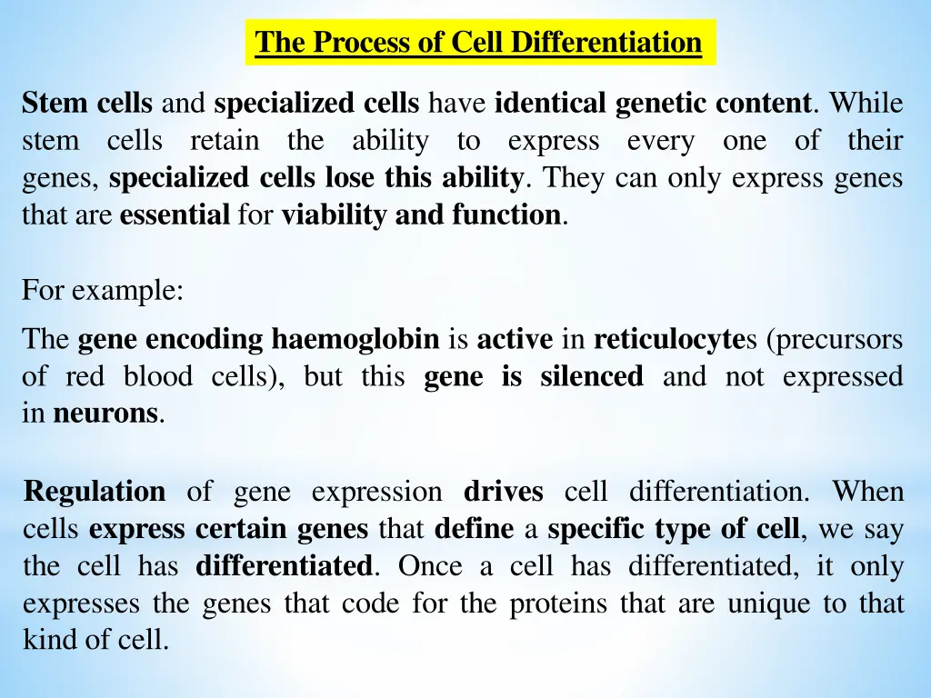 the process of cell differentiation