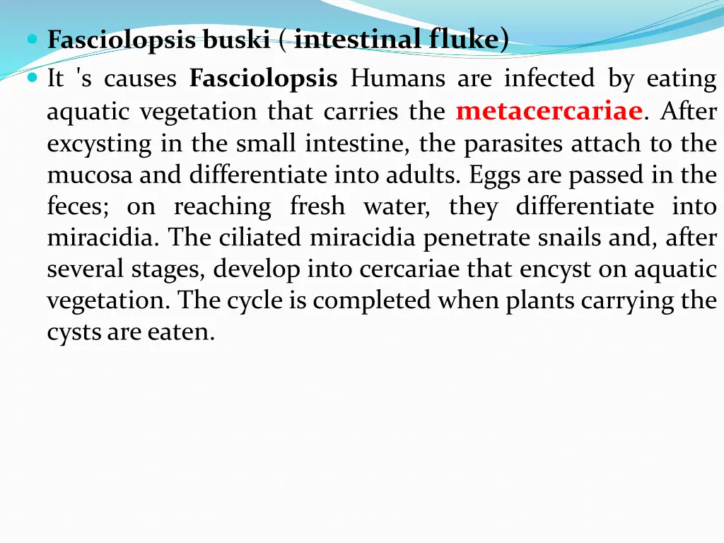 fasciolopsis buski intestinal fluke it s causes