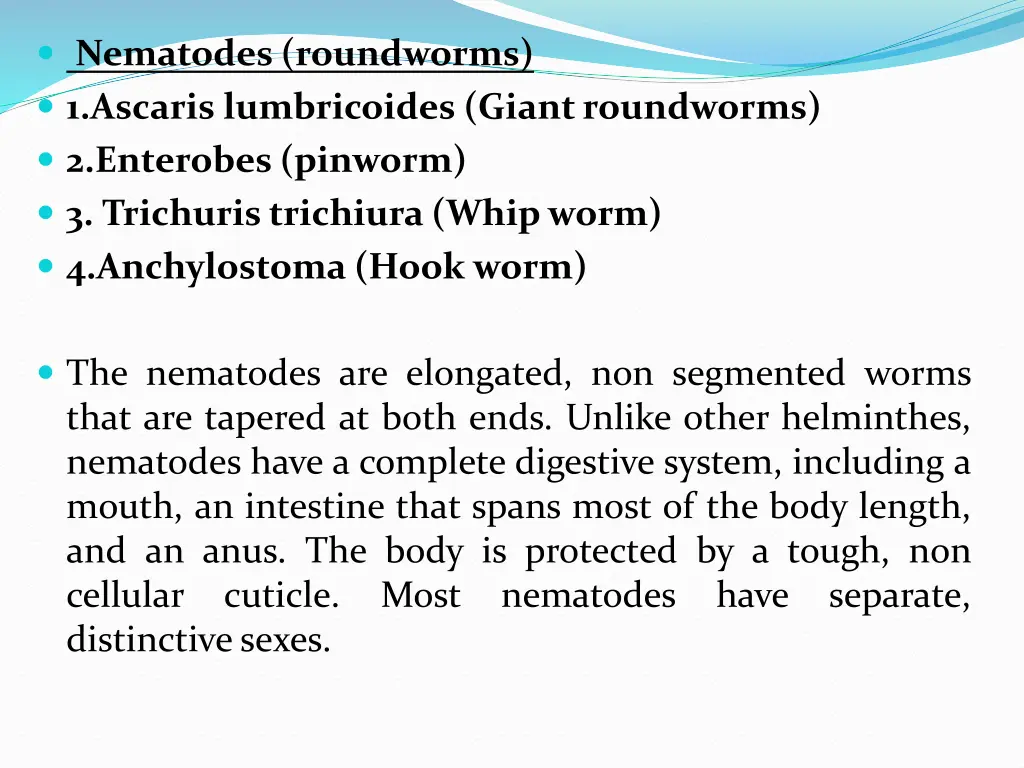 nematodes roundworms 1 ascaris lumbricoides giant