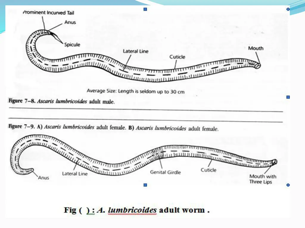 slide13