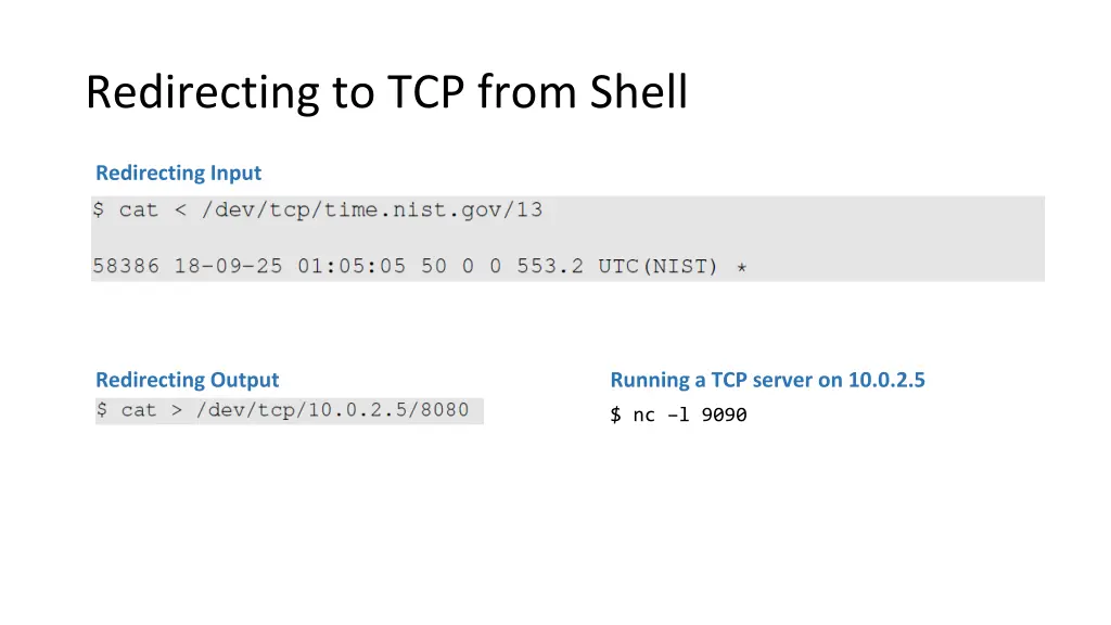 redirecting to tcp from shell