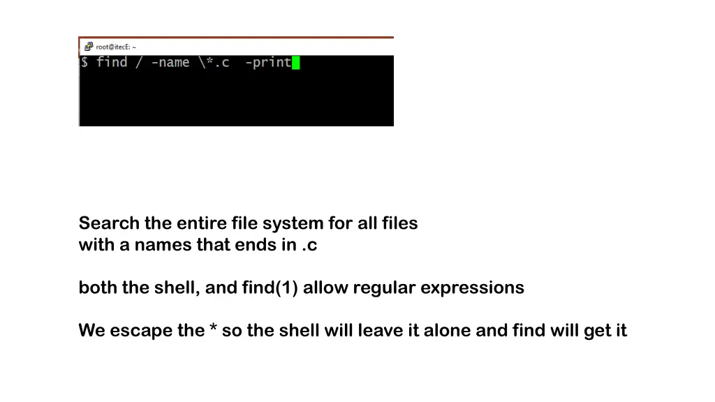 search the entire file system for all files with