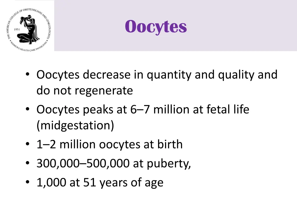 oocytes