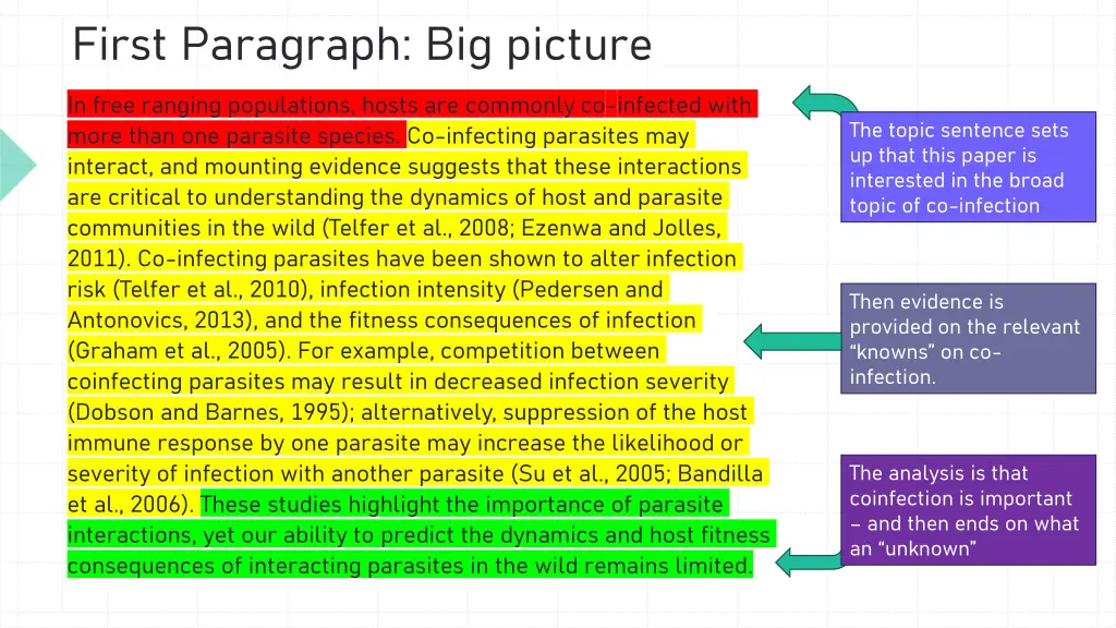 first paragraph big picture