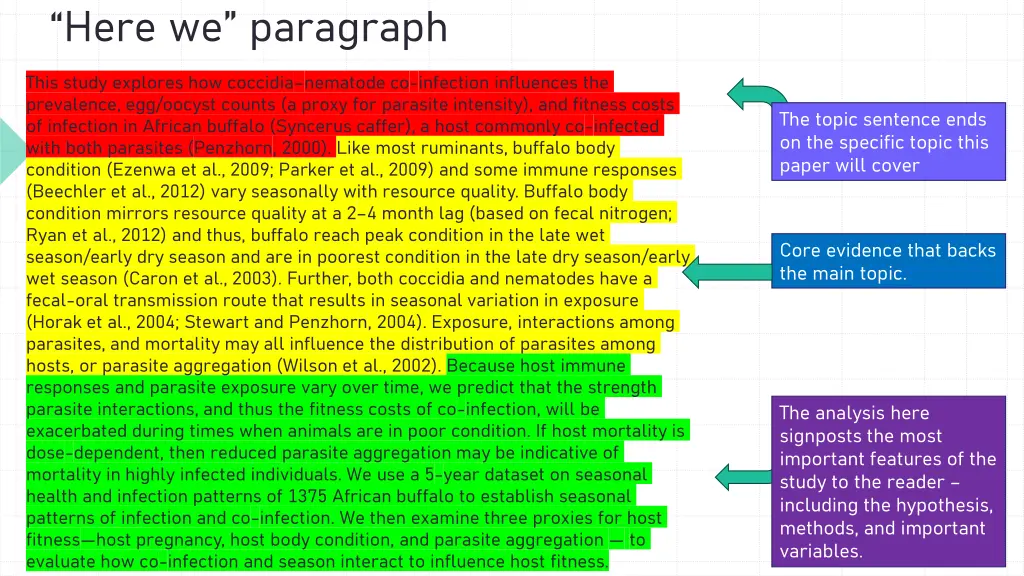 here we paragraph
