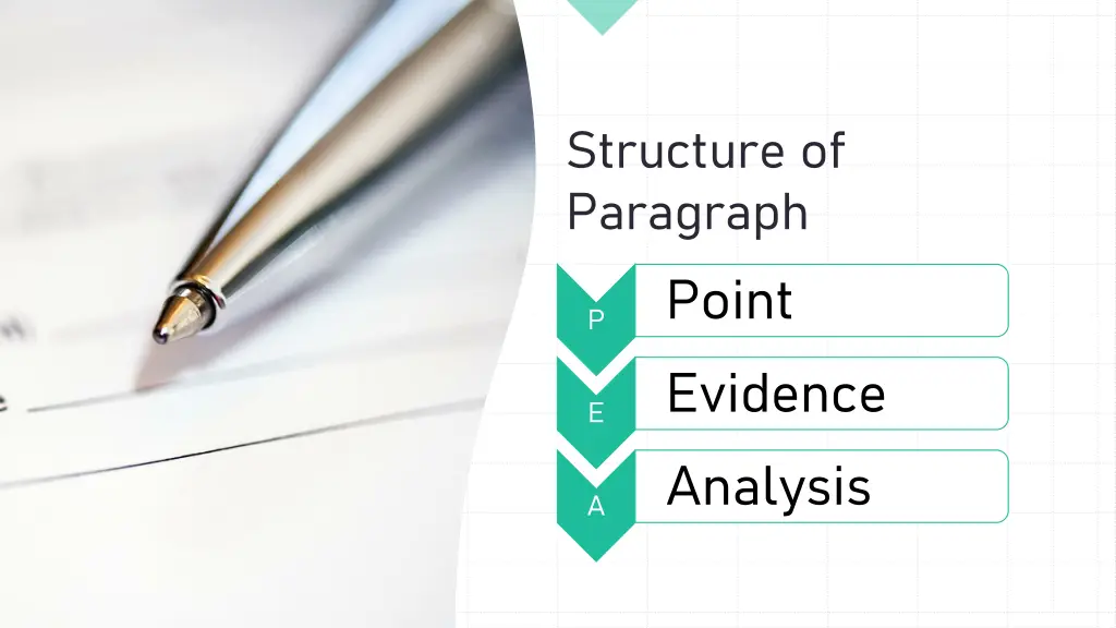 structure of paragraph point evidence analysis