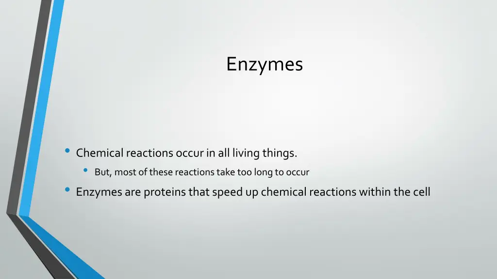 enzymes