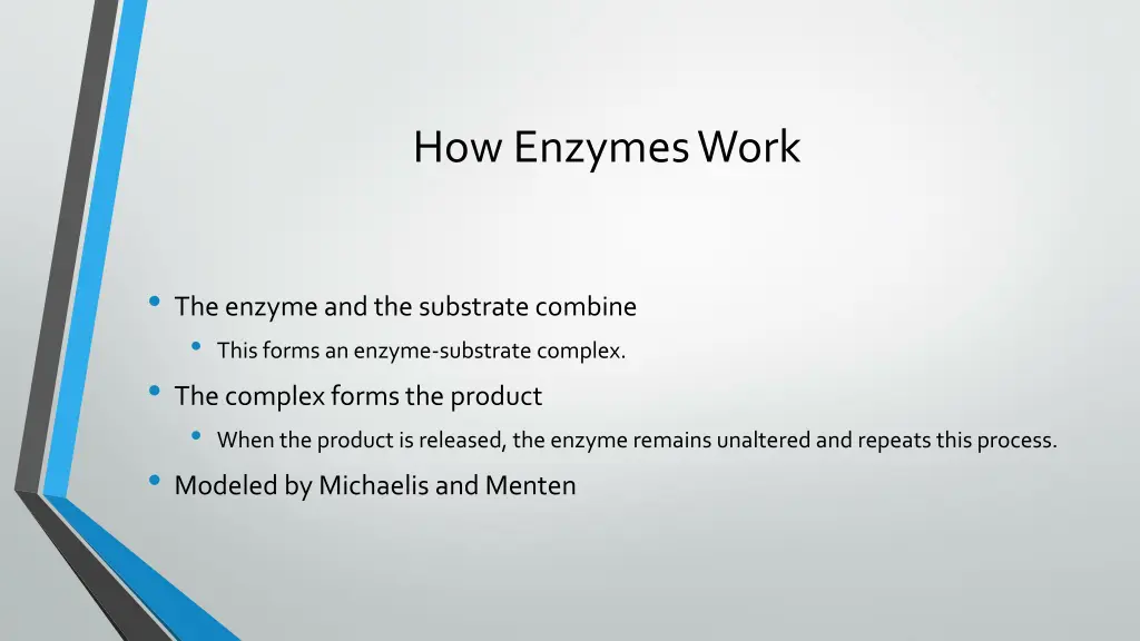 how enzymes work