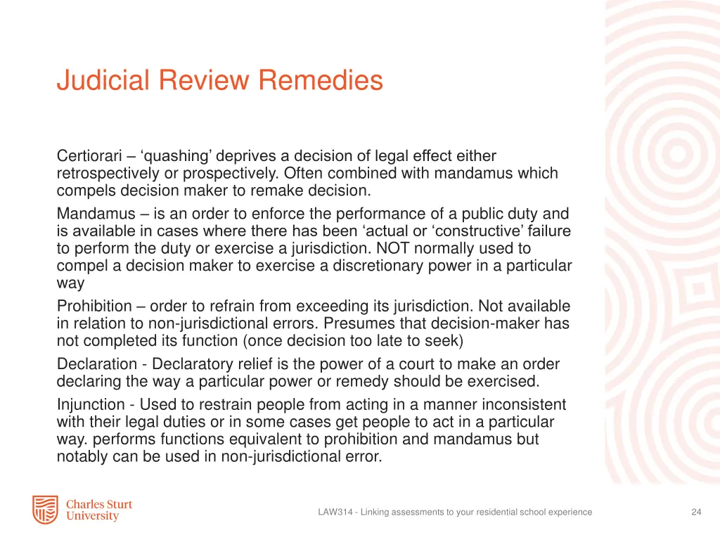 judicial review remedies