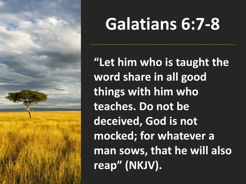 galatians 6 7 8