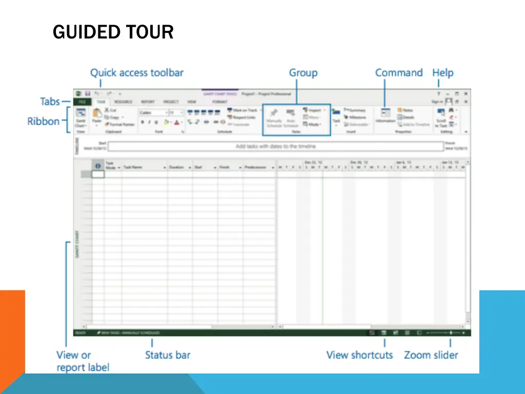guided tour