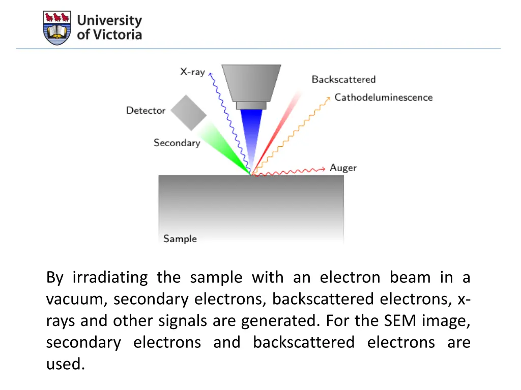 by irradiating the sample with an electron beam