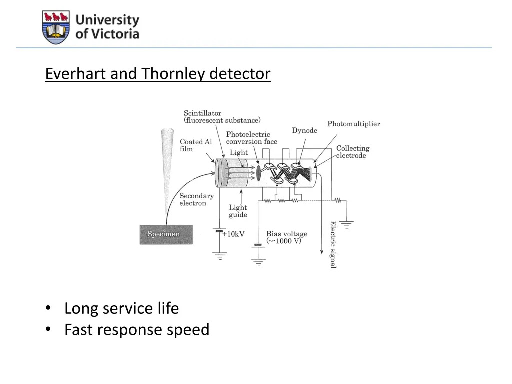 everhart and thornley detector