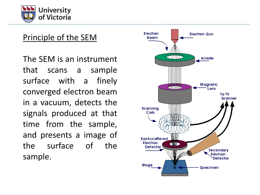principle of the sem