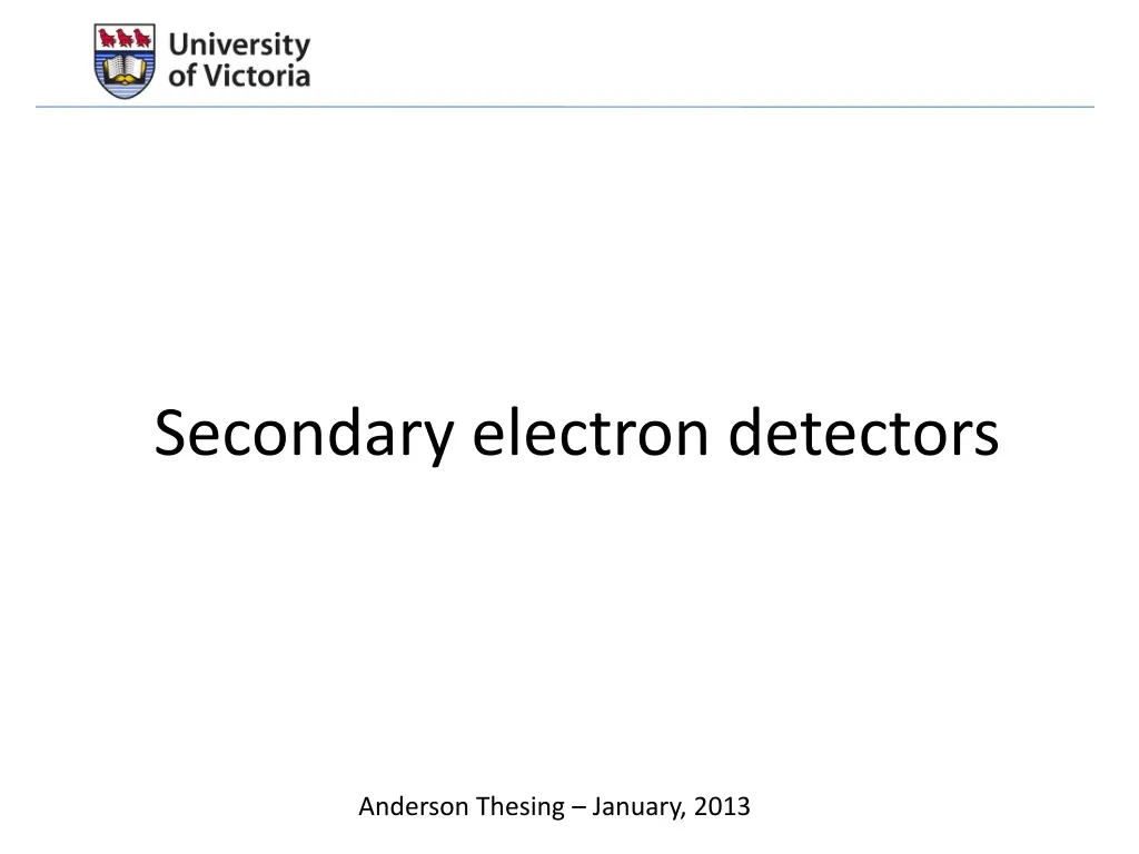 secondary electron detectors