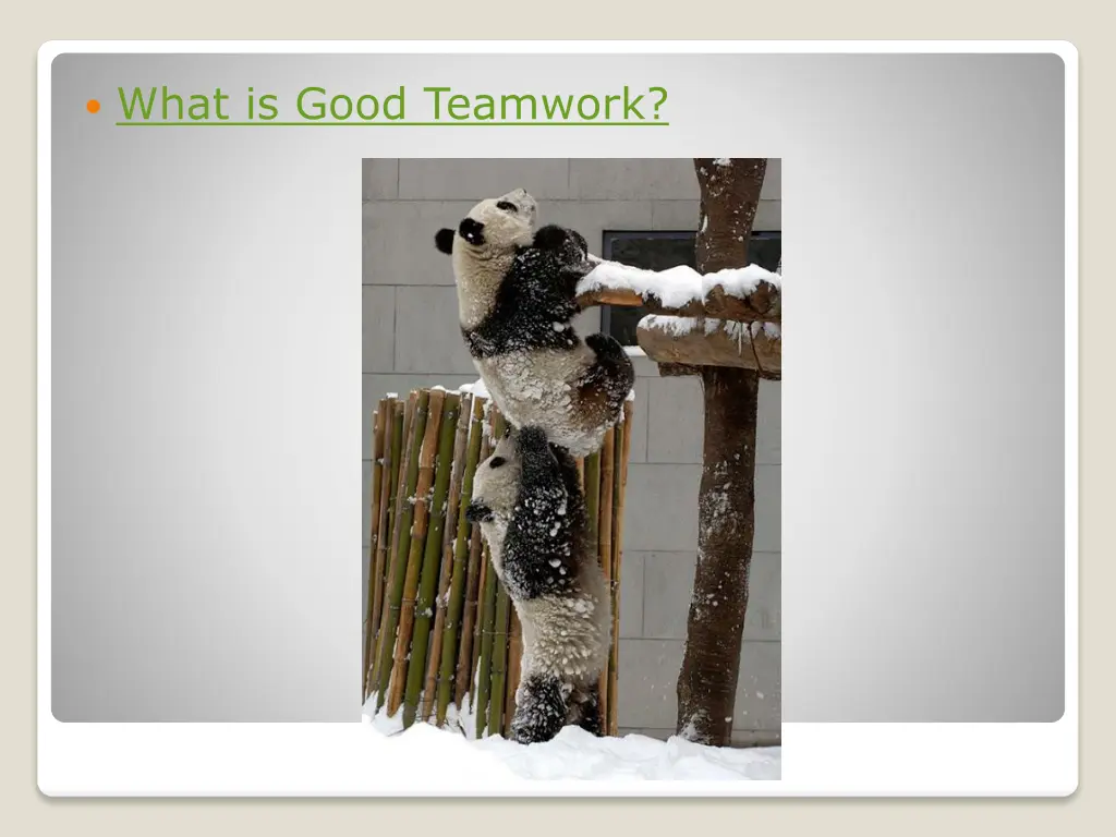what is good teamwork