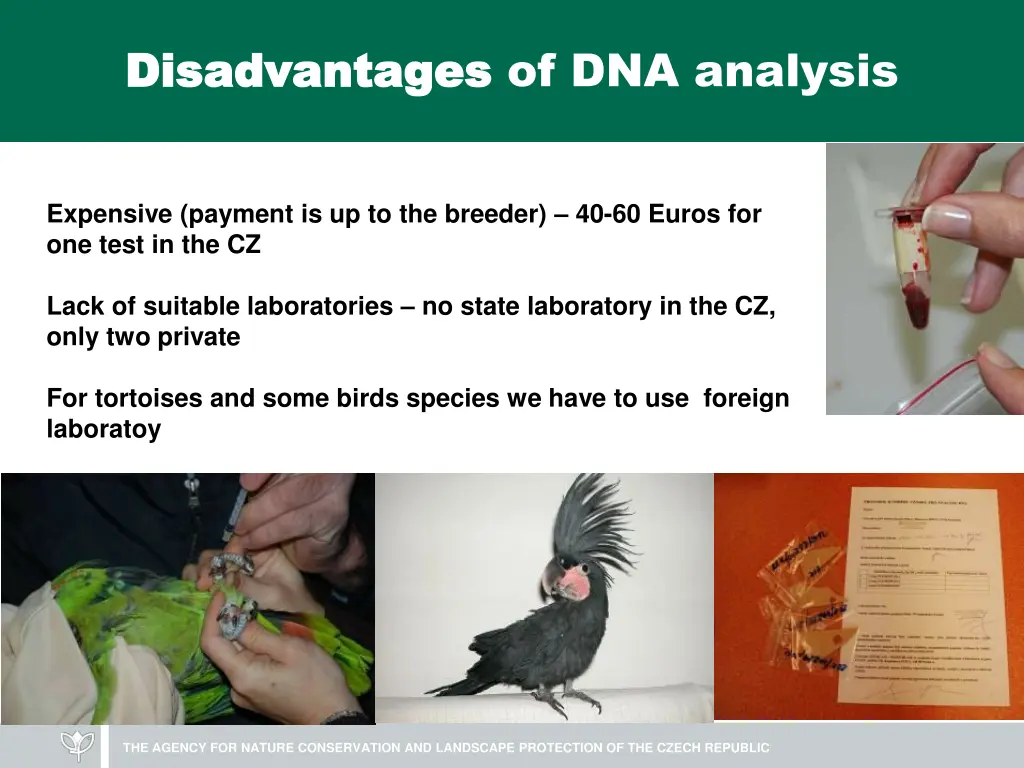 disadvantages disadvantages of dna analysis