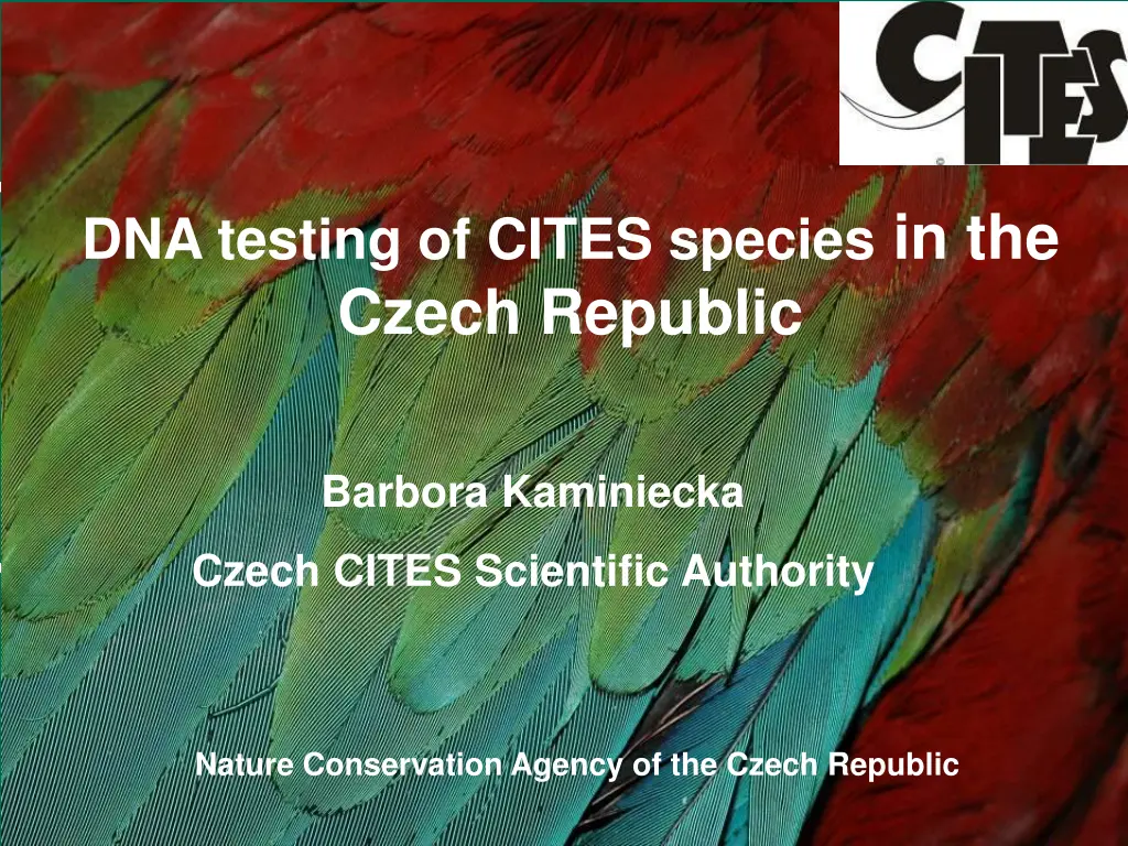 dna testing of cites species in the czech republic