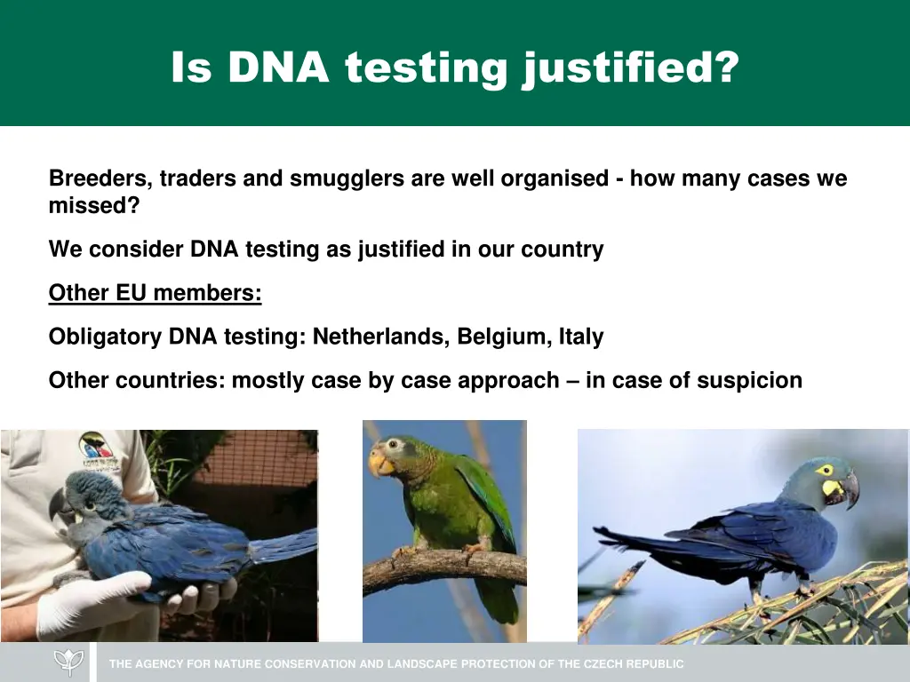 is dna testing justified 1