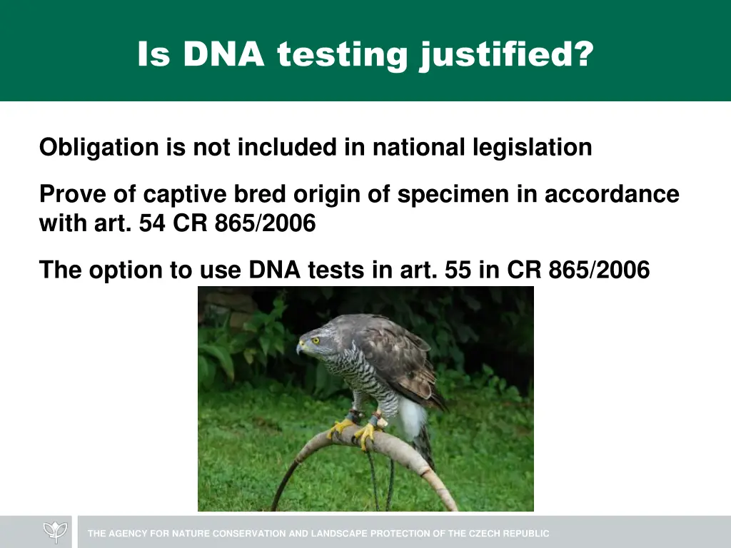 is dna testing justified