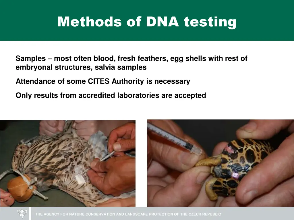 methods of dna testing