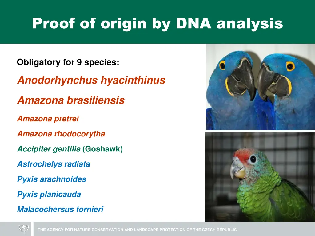 proof of origin by dna analysis 1