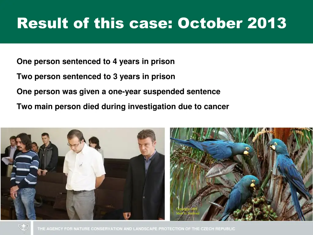 result of this case october 2013