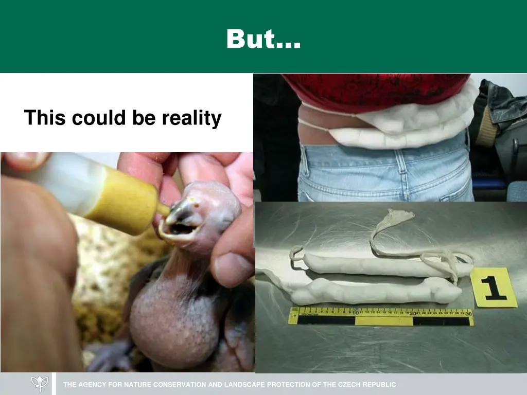 slide12