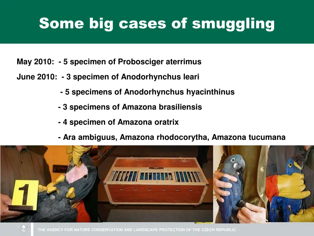 some big cases of smuggling 1