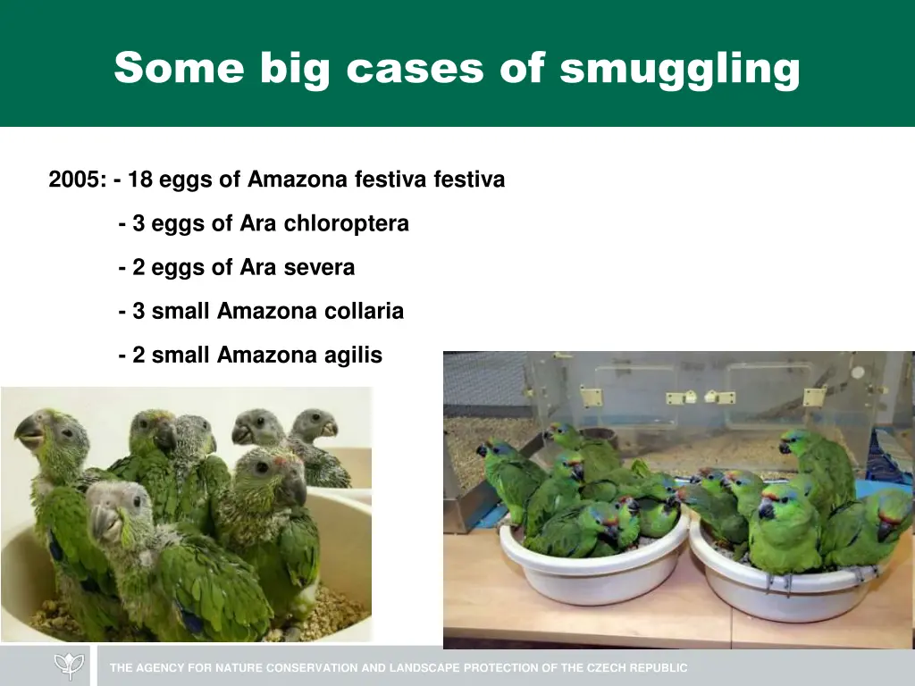some big cases of smuggling