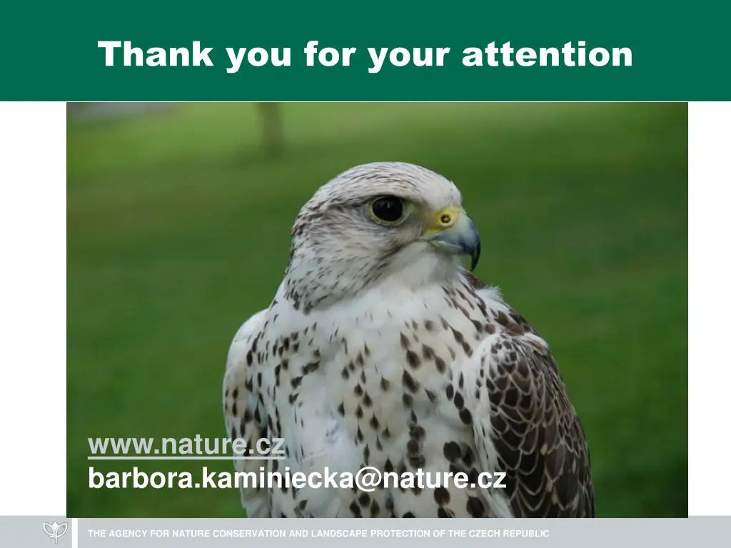 thank you for your attention