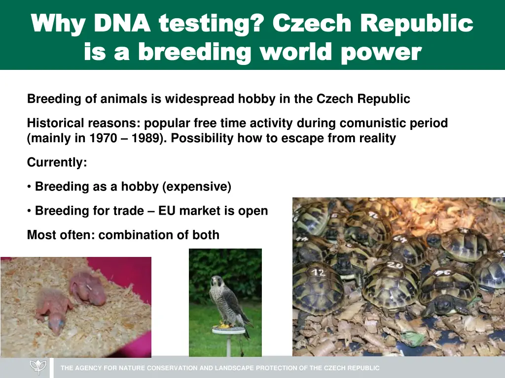 why dna testing czech republic why dna testing