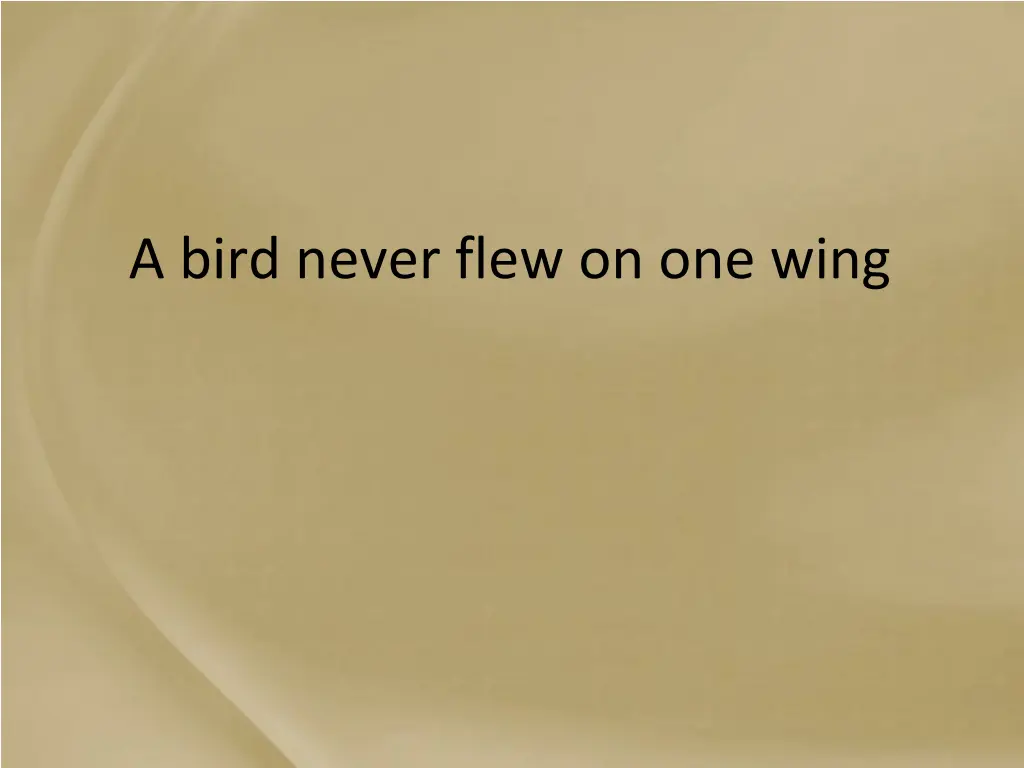 a bird never flew on one wing
