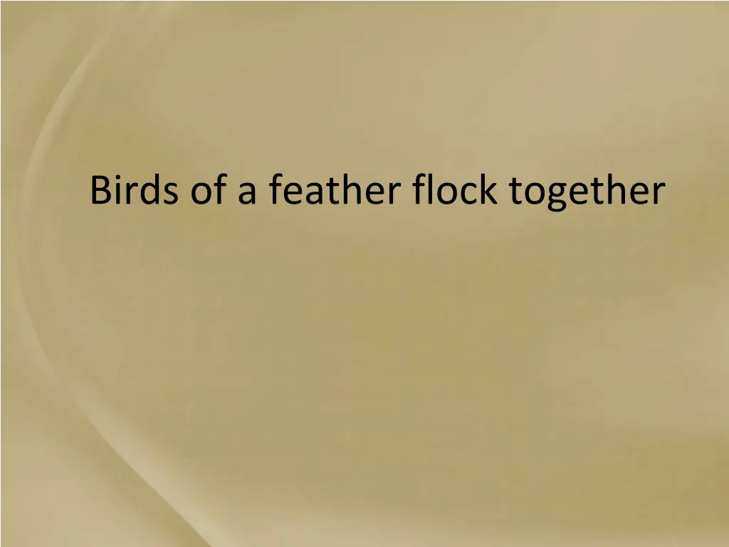 birds of a feather flock together