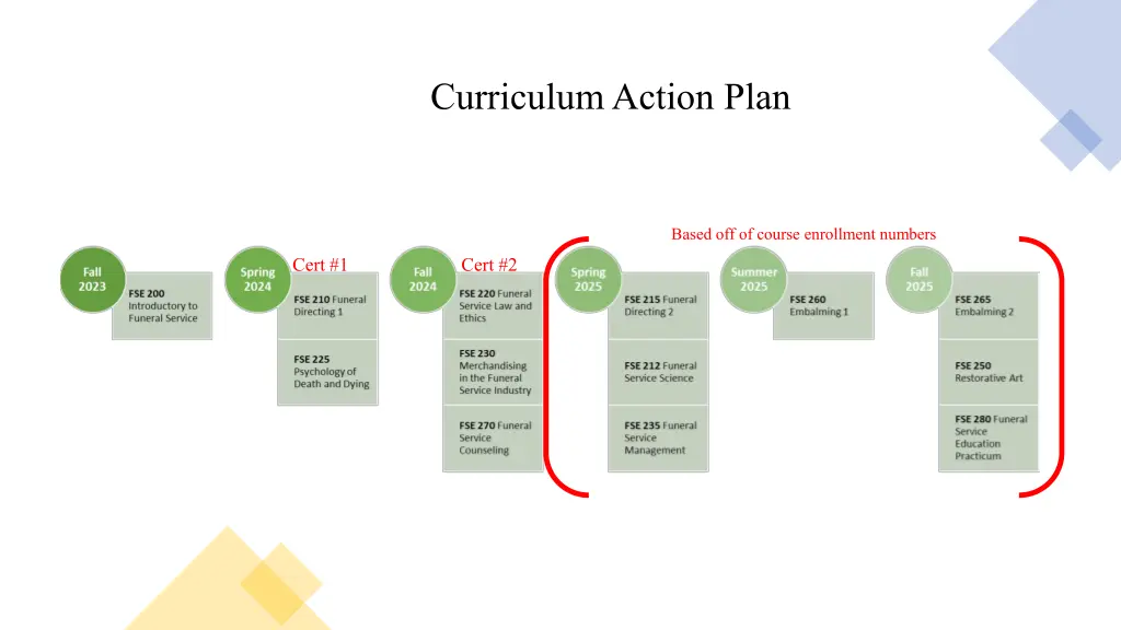 curriculum action plan 1