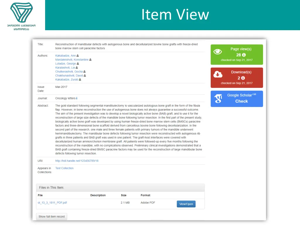item view