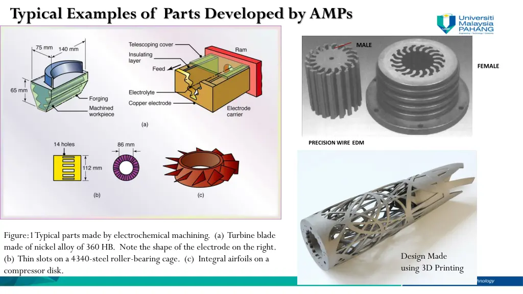 typical examples of parts developed by amps
