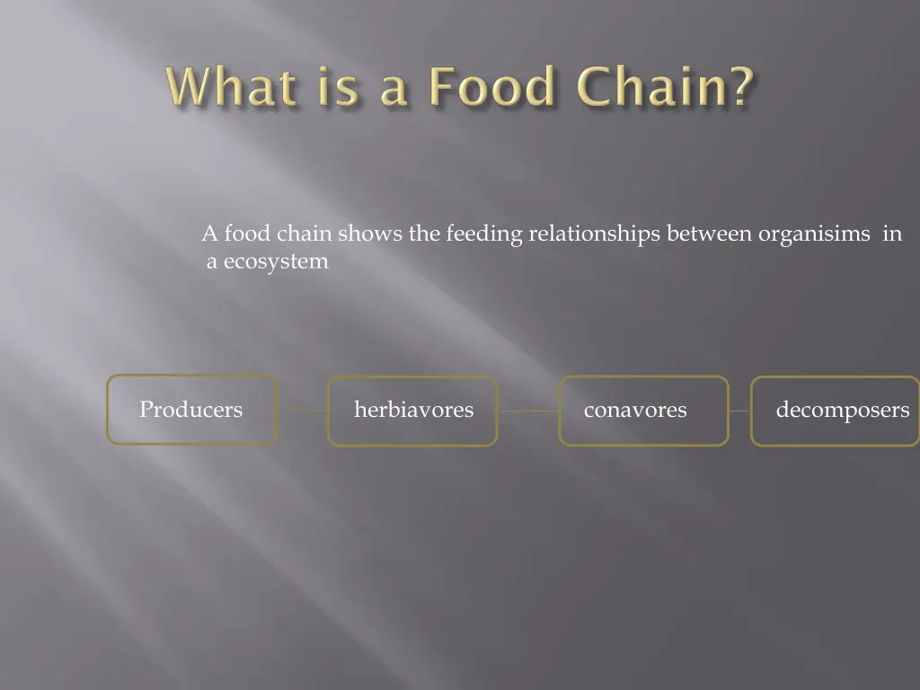 a food chain shows the feeding relationships