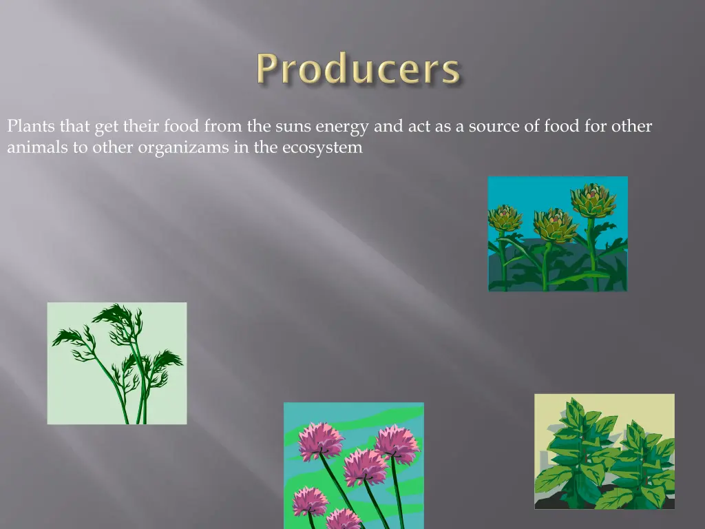 plants that get their food from the suns energy