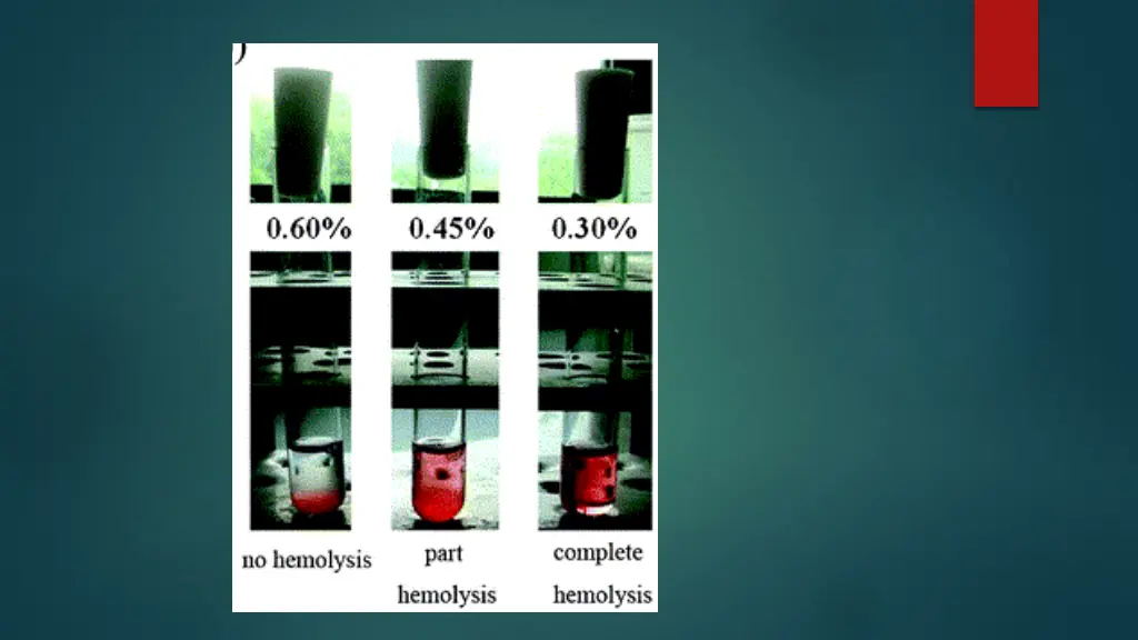 slide18