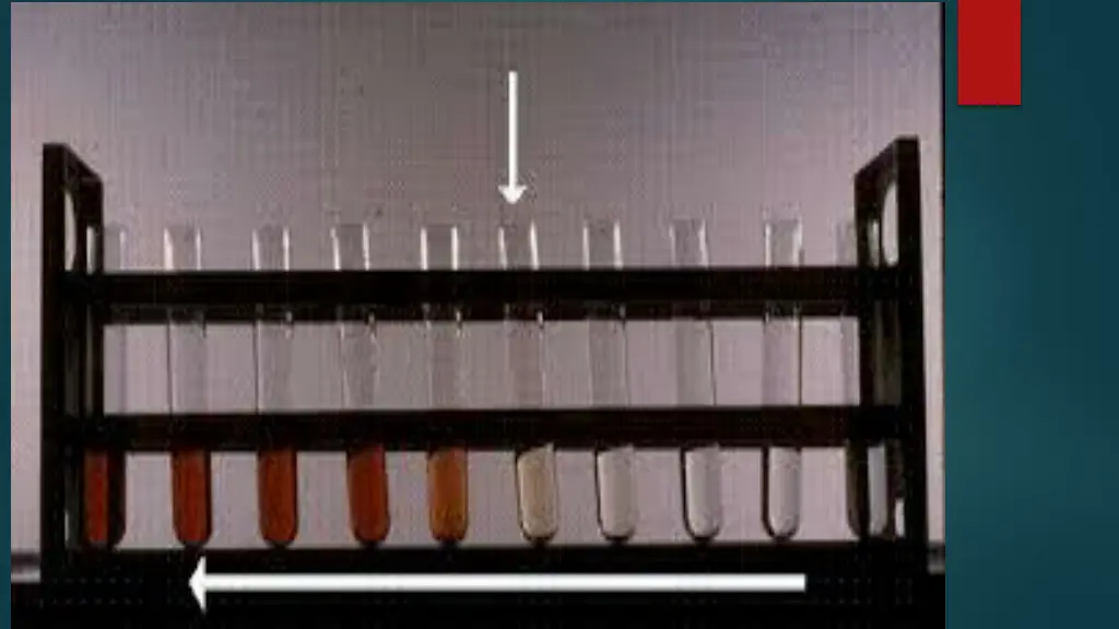 slide20