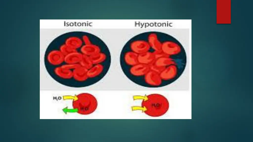 slide6