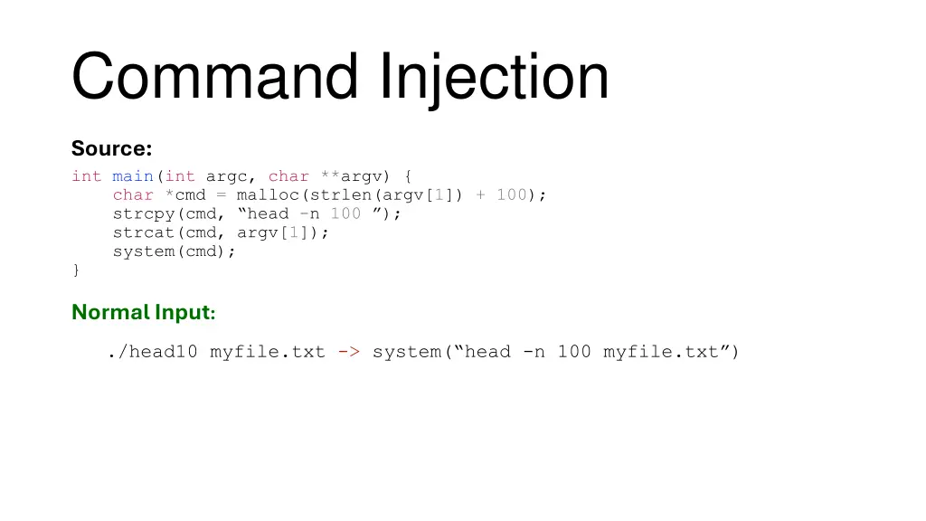 command injection 1