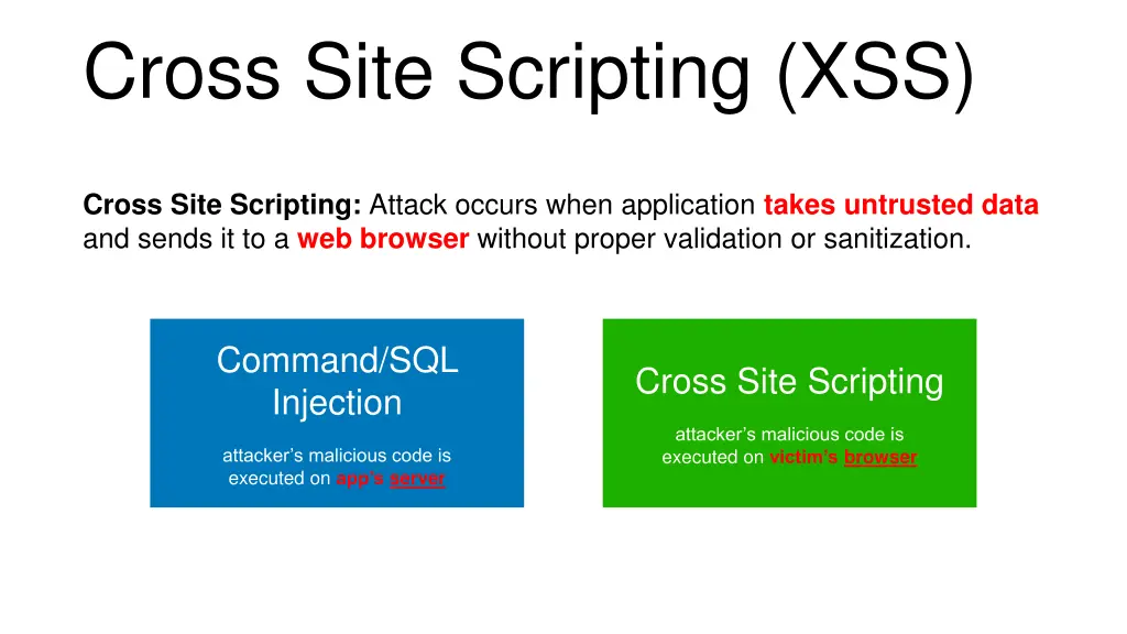 cross site scripting xss 1